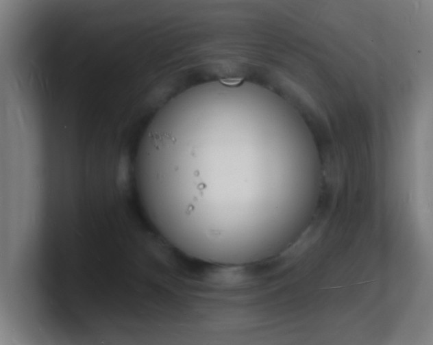 X0000101670132200807171344