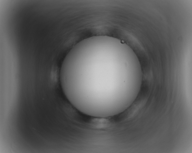 X0000101670133200807171344