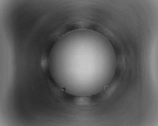 X0000101670137200807171344