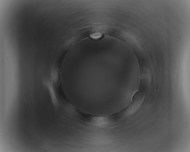 X0000101670139200807171344
