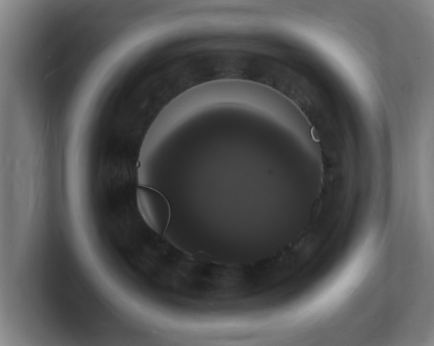 X0000101670143200807171344