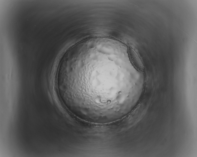 X0000101670145200807171343
