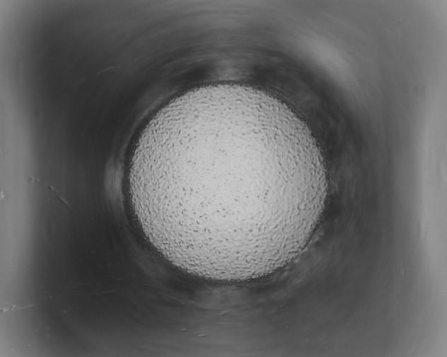 X0000101670146200807171343