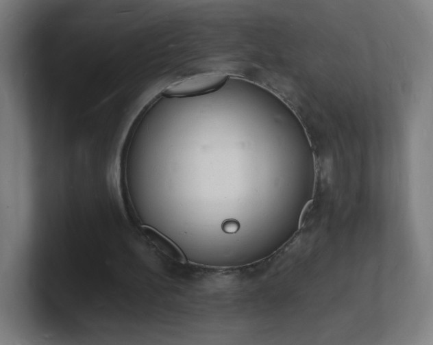 X0000101670148200807171343