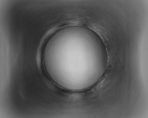 X0000101670149200807171343