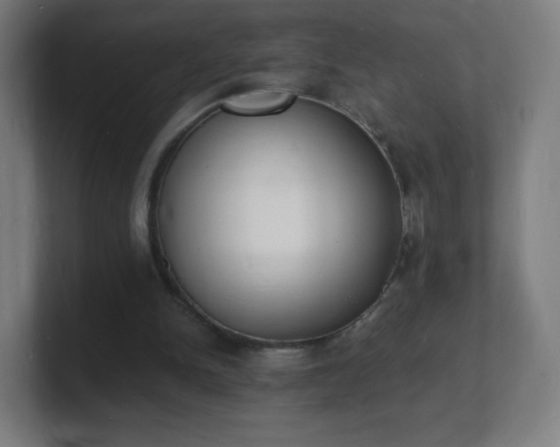 X0000101670150200807171343