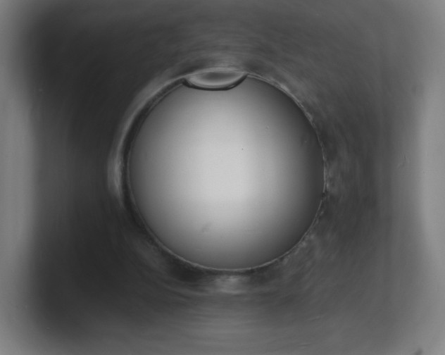 X0000101670152200807171343