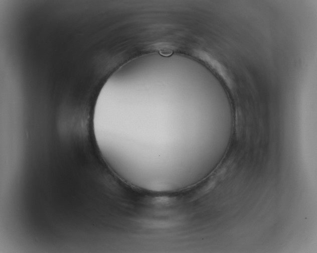 X0000101670153200807171343