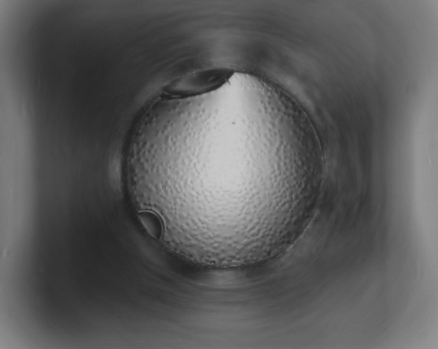 X0000101670154200807171343
