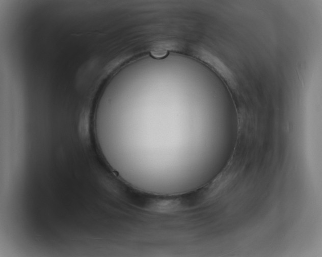 X0000101670155200807171343