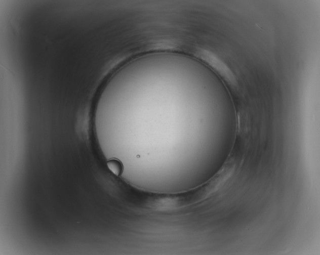 X0000101670156200807171343