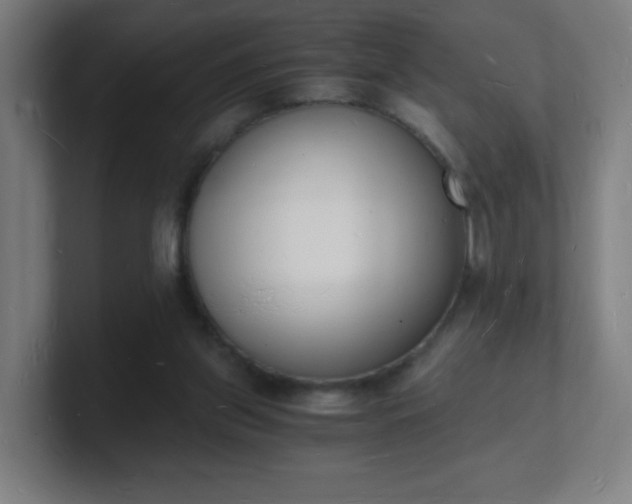 X0000101670157200807171343