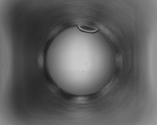 X0000101670158200807171343