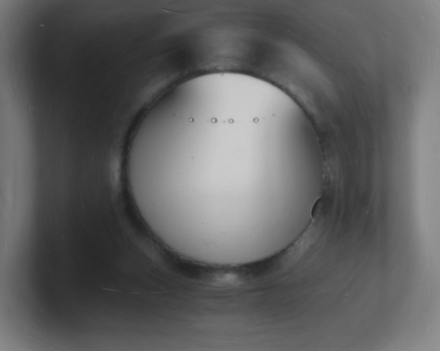 X0000101670159200807171343