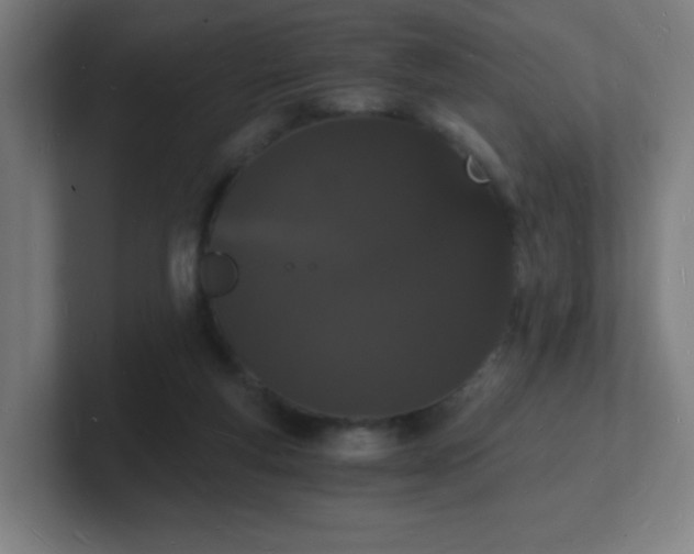 X0000101670163200807171343