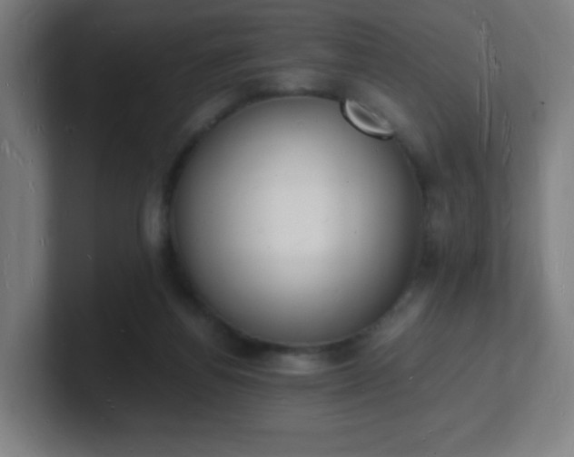 X0000101670164200807171343