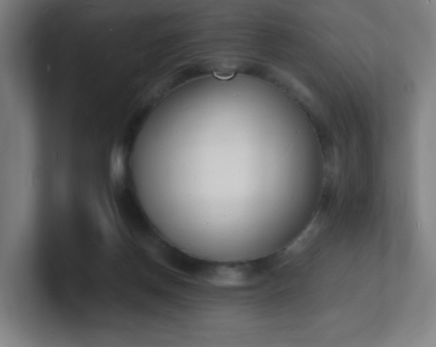 X0000101670166200807171343