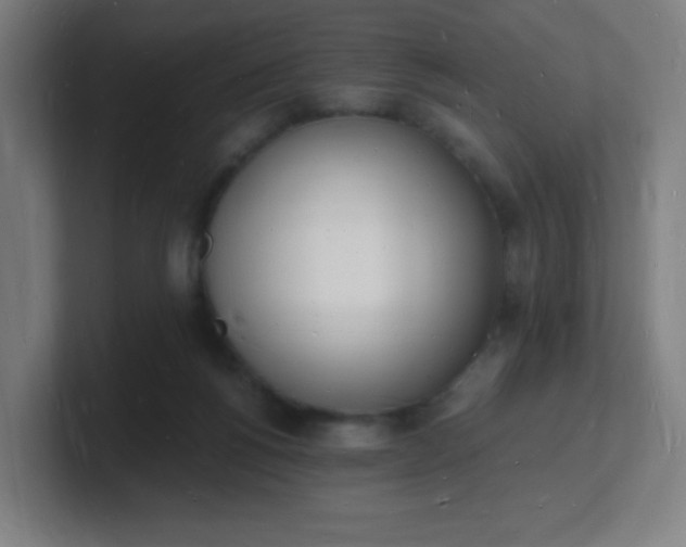 X0000101670168200807171343