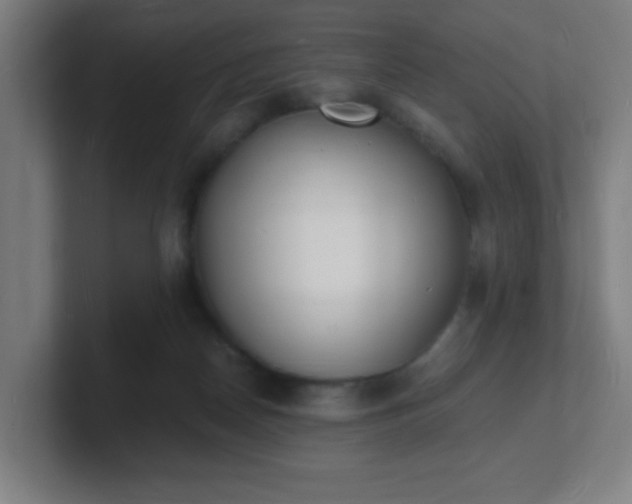 X0000101670170200807171343