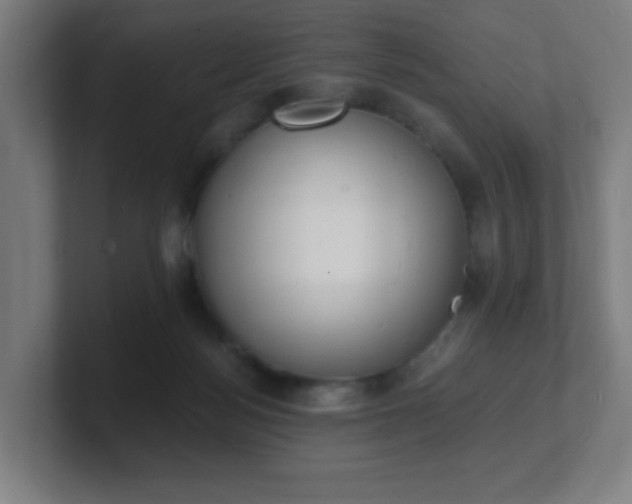 X0000101670172200807171343