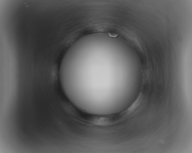 X0000101670174200807171343