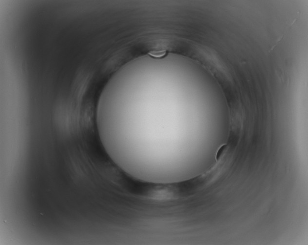 X0000101670175200807171343