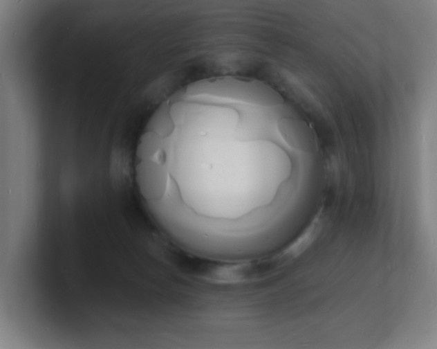 X0000101670178200807171343