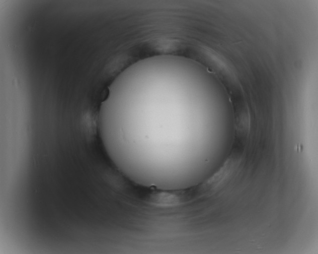 X0000101670180200807171343