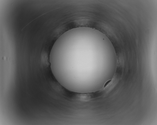 X0000101670187200807171344