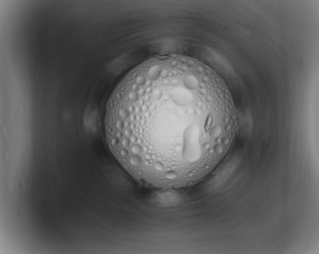 X0000101670189200807171344