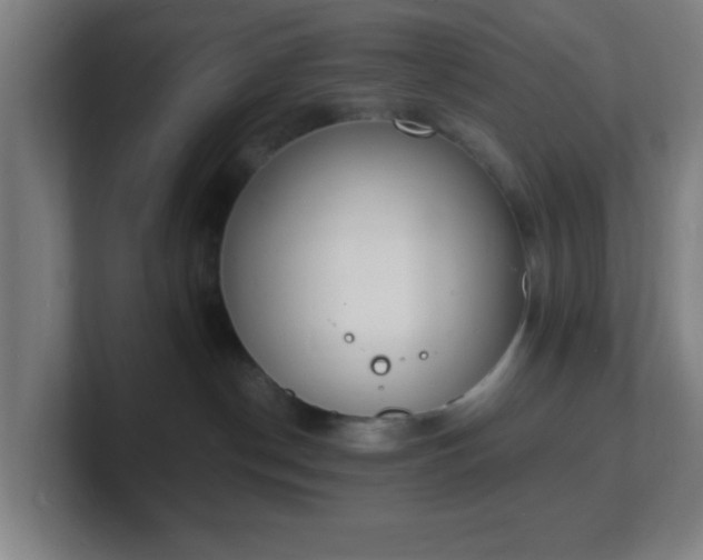 X0000101670190200807171344