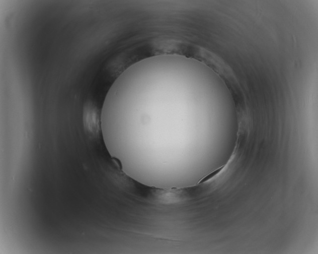 X0000101670191200807171344
