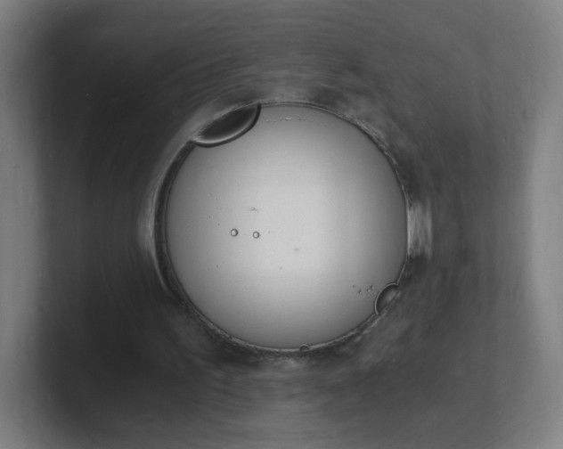 X0000101670195200807171343