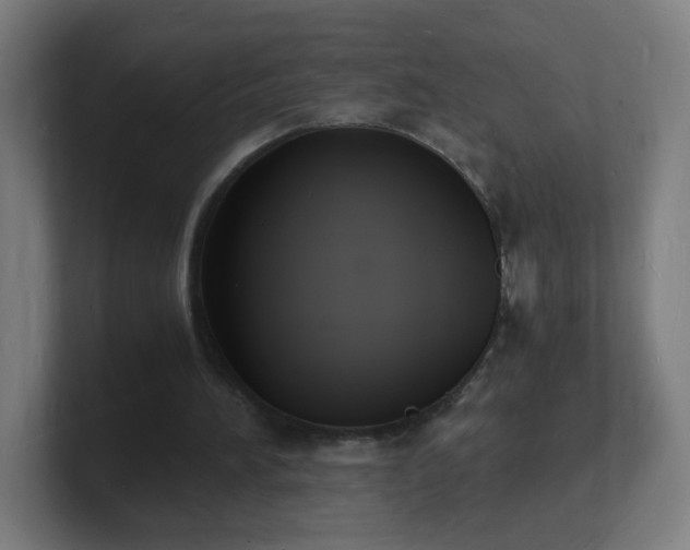 X0000101670196200807171343