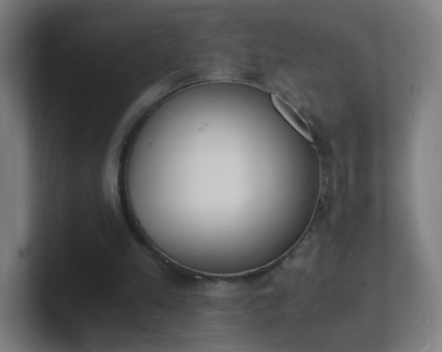 X0000101670197200807171343