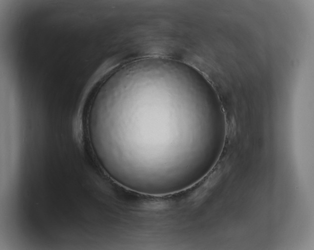 X0000101670198200807171343