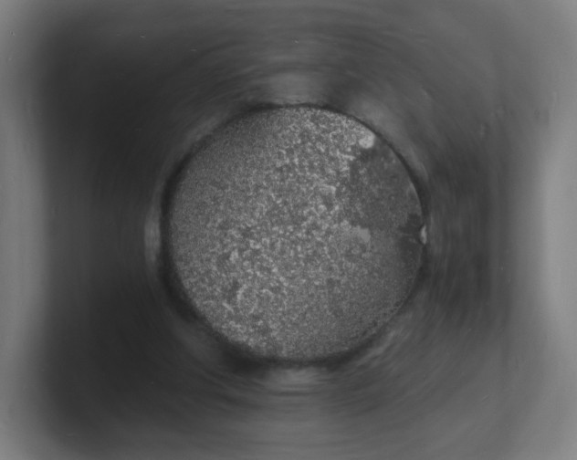 X0000101670202200807171343
