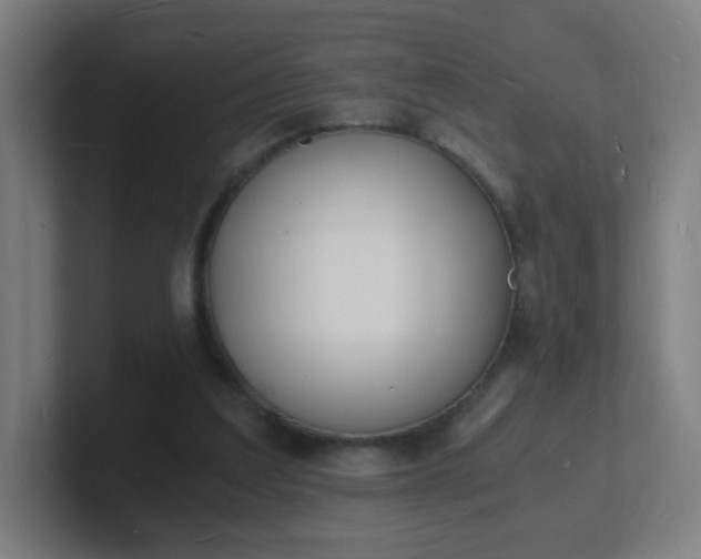 X0000101670203200807171343