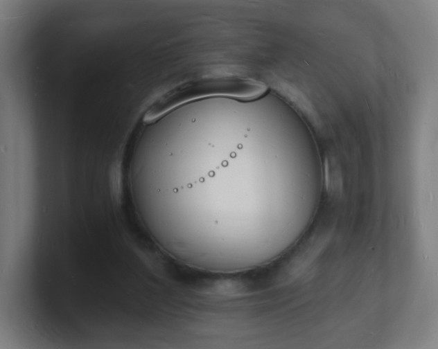 X0000101670204200807171343