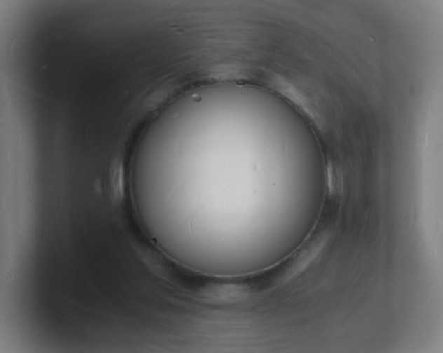 X0000101670205200807171343