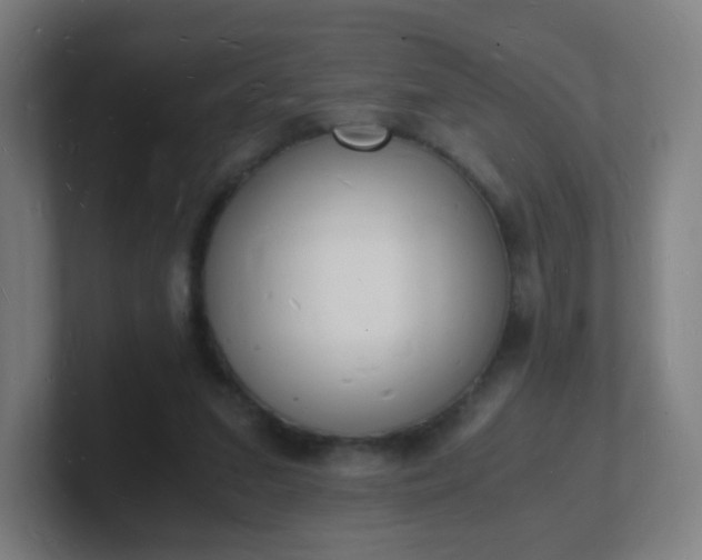 X0000101670207200807171343