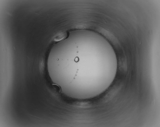 X0000101670208200807171343