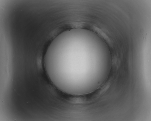 X0000101670209200807171343