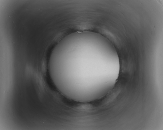 X0000101670210200807171343