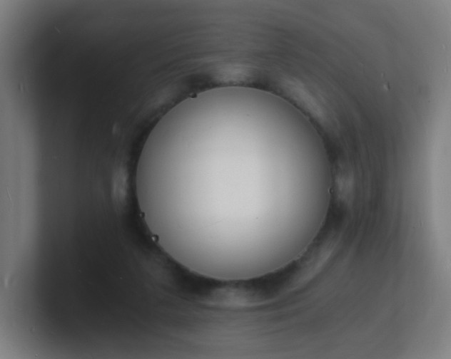 X0000101670211200807171343
