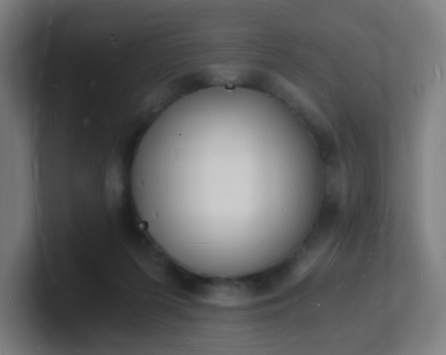 X0000101670215200807171343