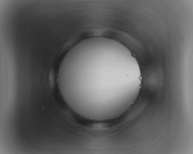 X0000101670216200807171343