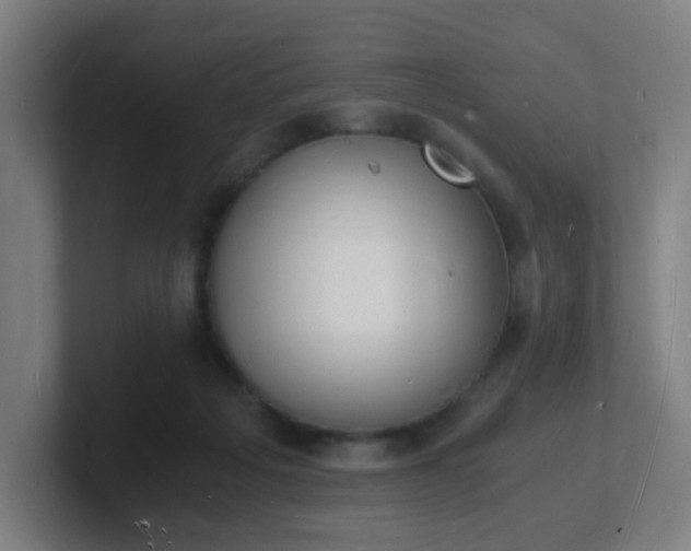 X0000101670217200807171343
