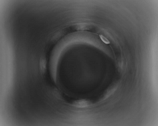 X0000101670219200807171343