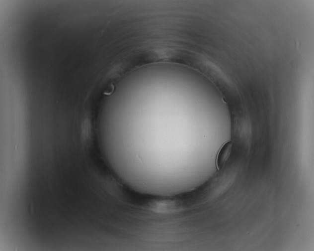 X0000101670220200807171343